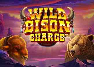 Wild Bison Charge