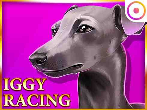 Iggy Racing