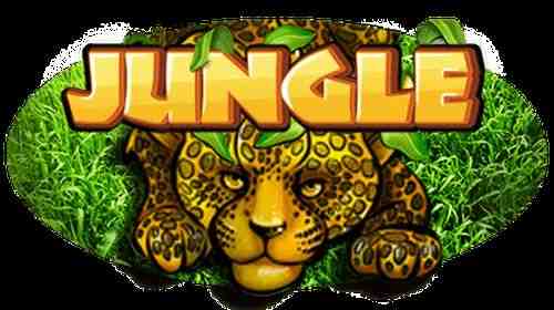 Jungle