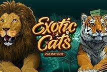 Exotic Cats