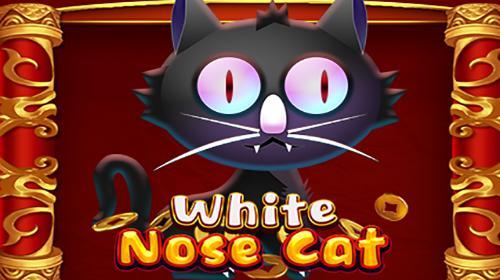 White Nose Cat