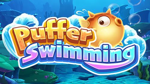 Puffer Swimming