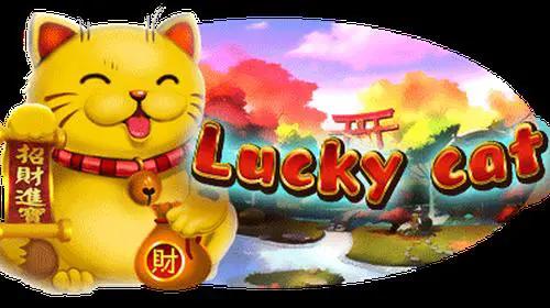 Lucky Cat