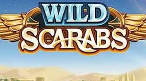 Wild Scarabs