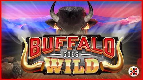 Buffalo Goes Wild