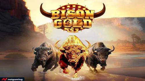 Bison Gold