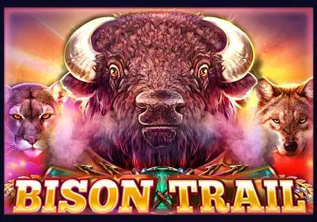 Bison Trail