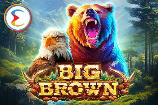 Big Brown coverImage