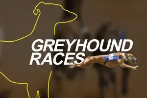 vDogs (Grayhound races) coverImage