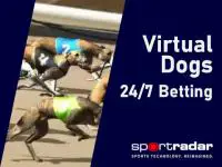 Virtual Dogs Kiron coverImage