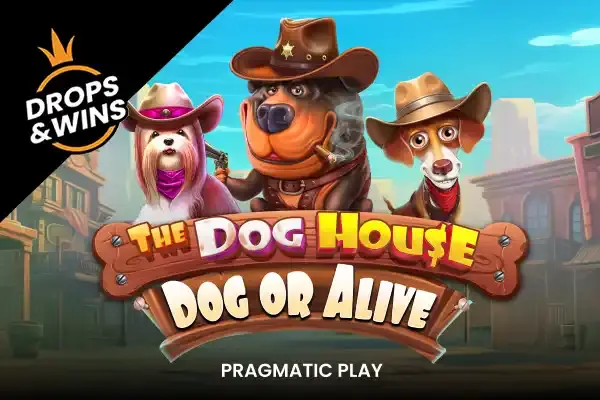 The Dog House - Dog or Alive coverImage