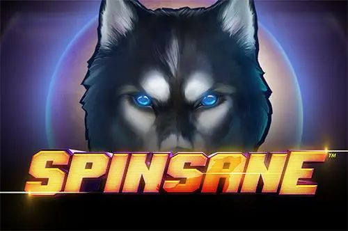 Spinsane coverImage
