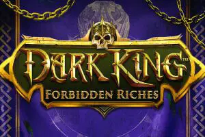 Dark King: Forbidden Riches coverImage