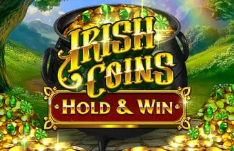 Irish Coins H&W - 96 coverImage