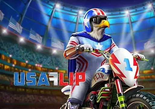 USA Flip coverImage