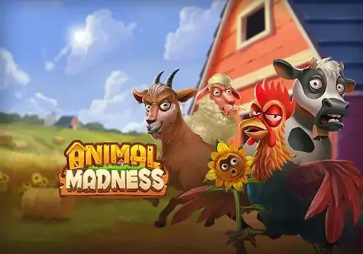 Animal Madness coverImage
