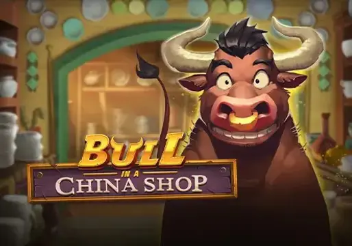 Bull in a China Shop coverImage