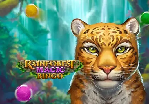 Rainforest Magic Bingo coverImage