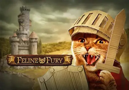 Feline Fury coverImage