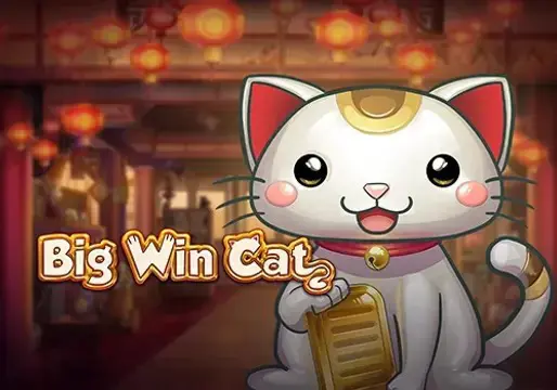 Big Win Cat coverImage