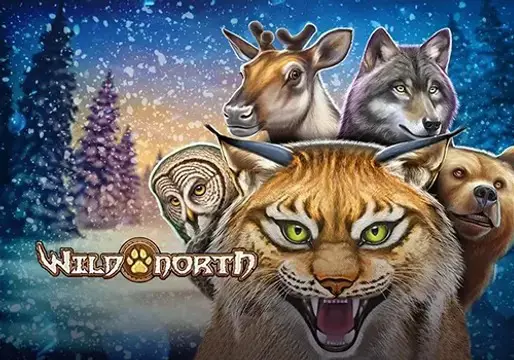 Wild North coverImage