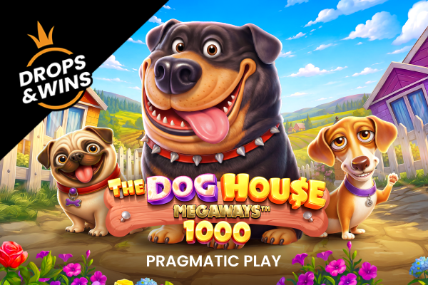The Dog House Megaways 1000 coverImage
