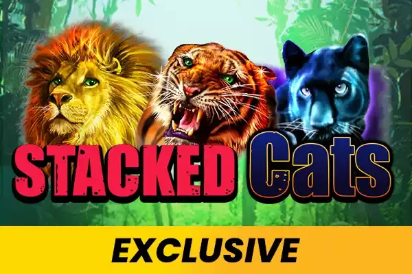 Stacked Cats coverImage