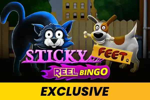 Sticky Feet + Reel Bingo coverImage