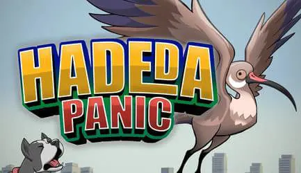 Hadeda coverImage