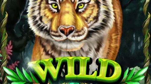 Wild Jungle coverImage
