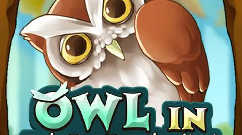 Owl In Forest coverImage