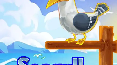 Seagull coverImage