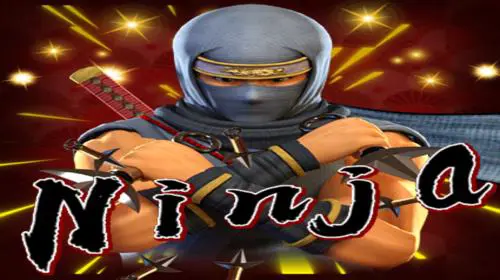 Ninja coverImage