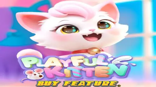 Playful Kitten Buy Feature coverImage